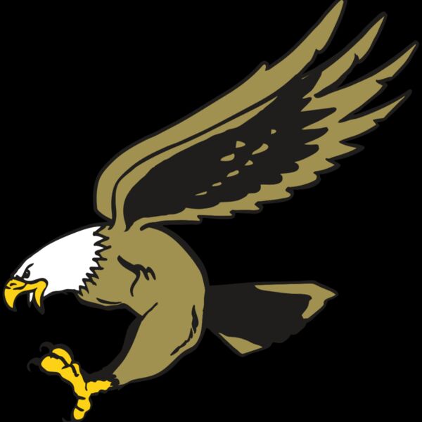 AR EAGLE 23 RC Thumbnail