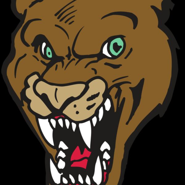 AR5 COUGAR 16 RQC Thumbnail