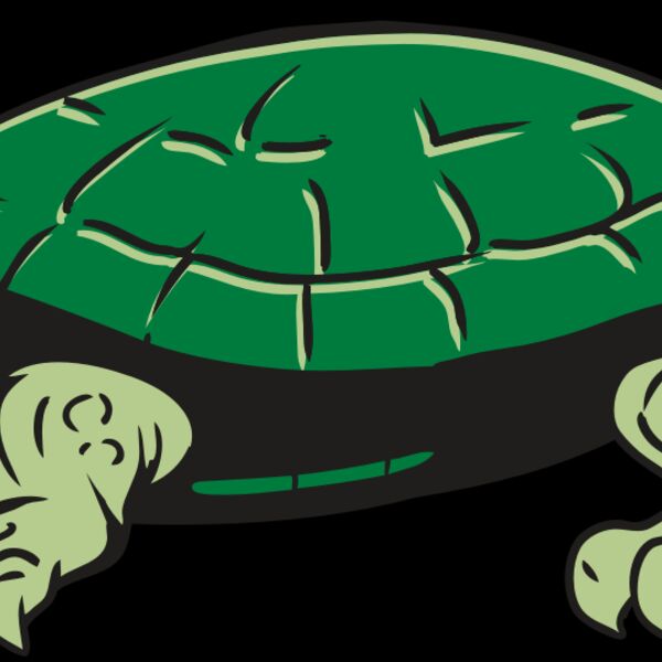 AR32 TURTLE 01 RQC Thumbnail